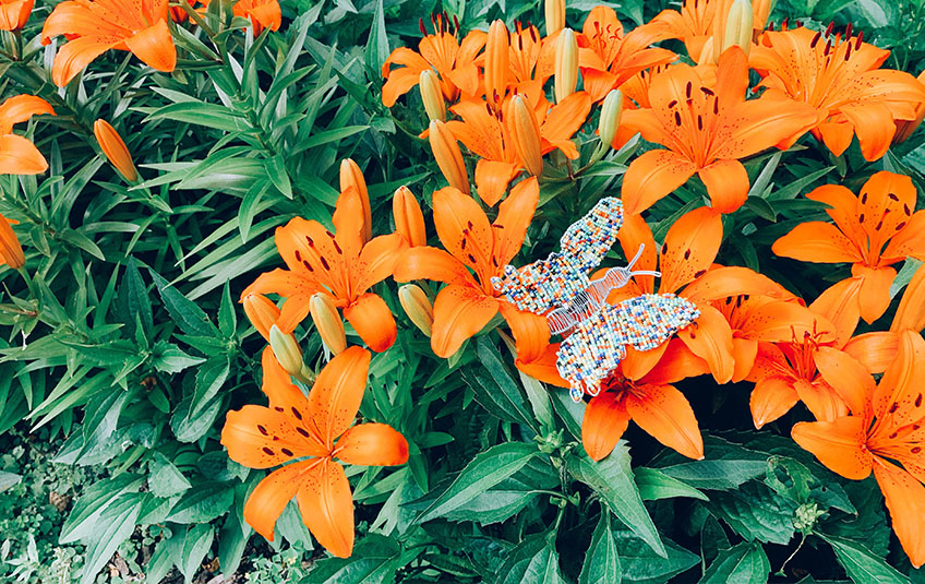 When it Comes to Your Garden, it's the Little Things